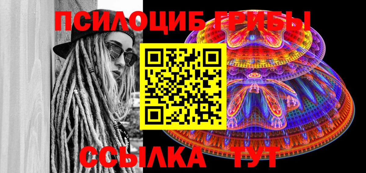 Псилоцибиновые грибы Cubensis  Вход с VPN  Выборг 