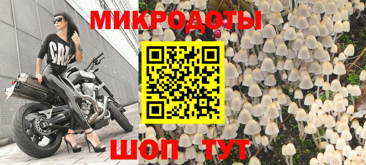Галлюциногенные грибы мицелий Выборг
