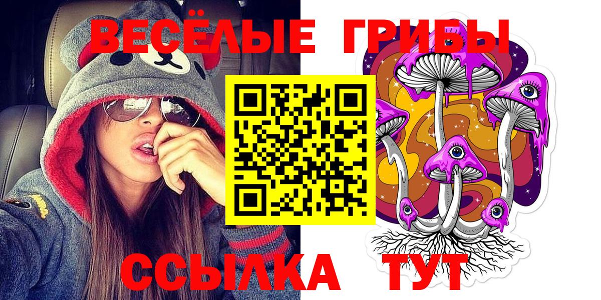 Экстази  ГАШ  Меф МЯУ МЯУ   Alpha PVP СОЛЬ кристаллы  МЕТАДОН  Вход с VPN  Выборг  КОКАИН  Меф МЯУ МЯУ 